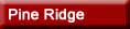 homes and real estate in Pine Ridge